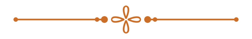 Orange decorative divider line.